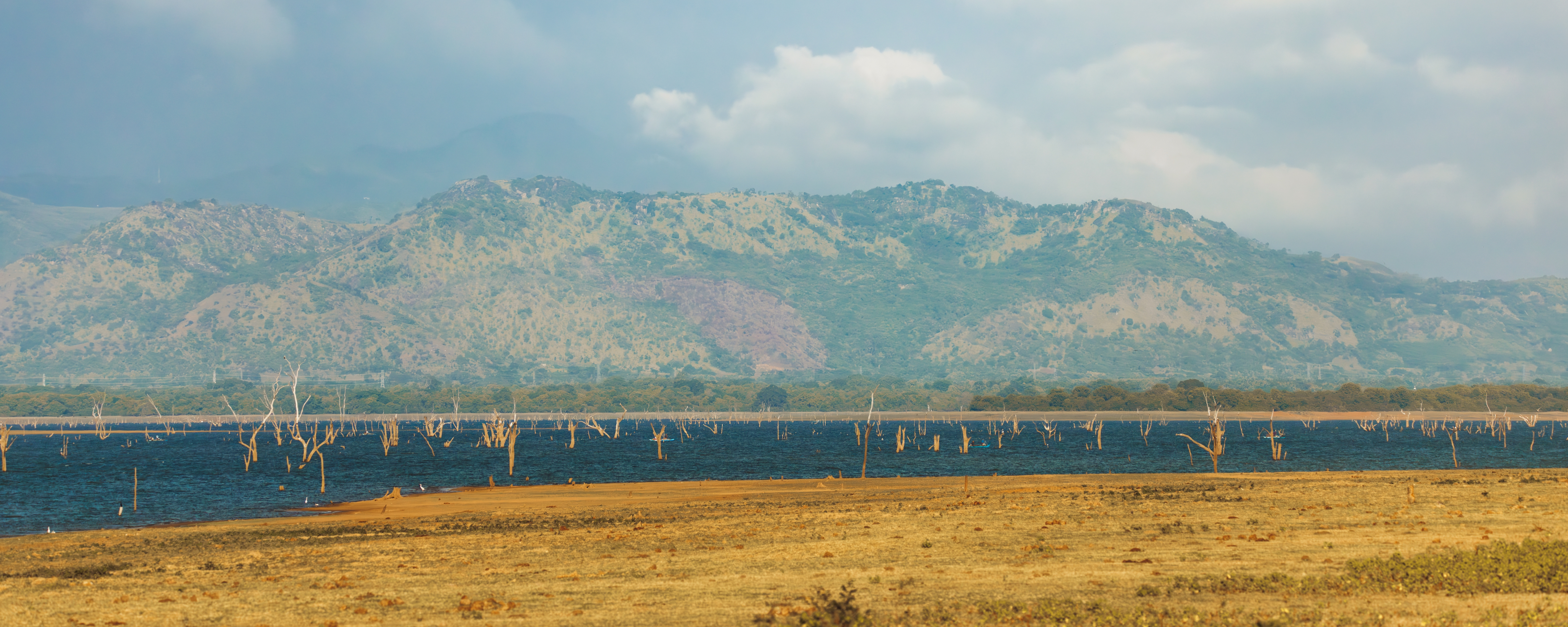 Landscape