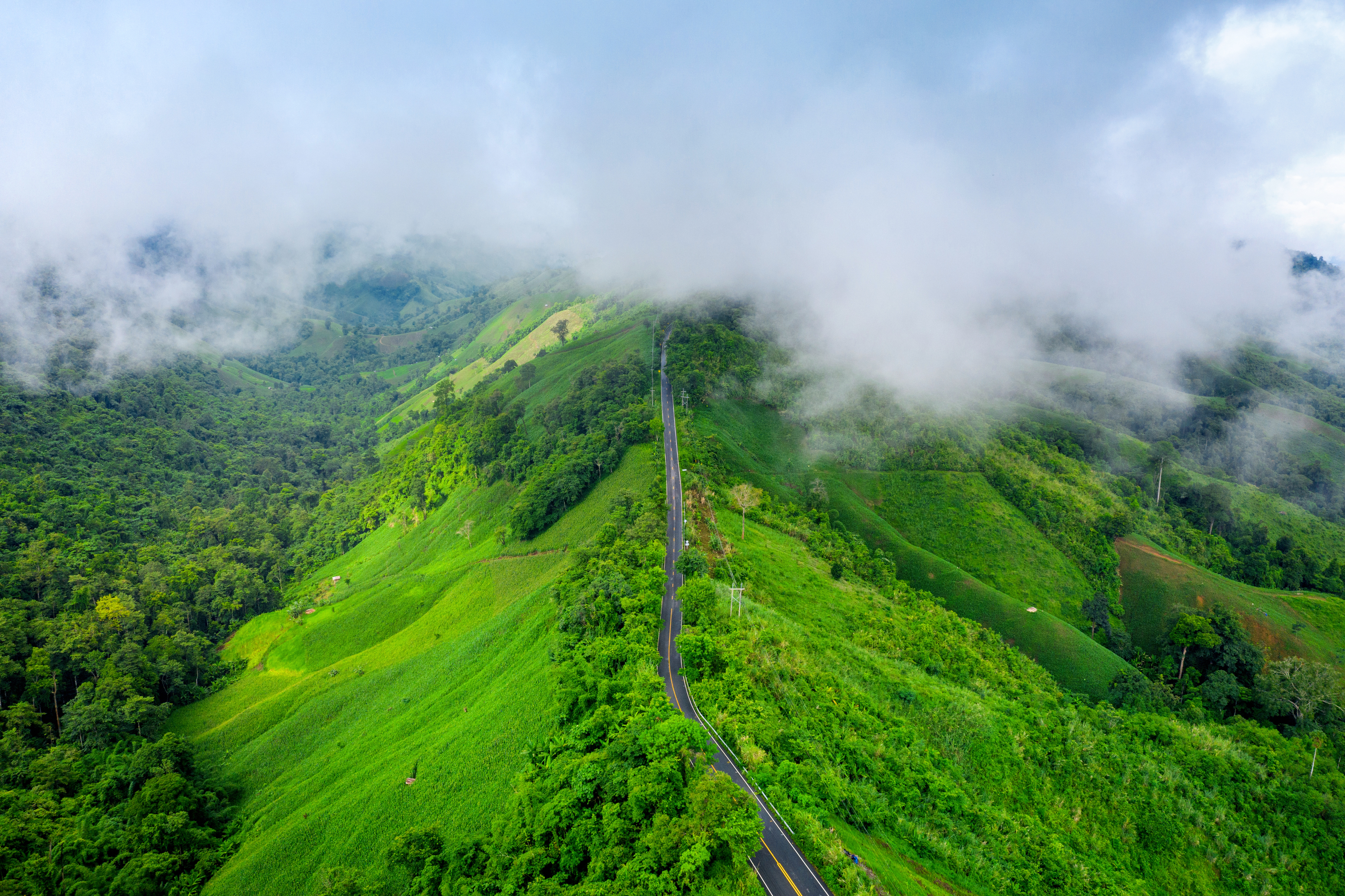 Mountain